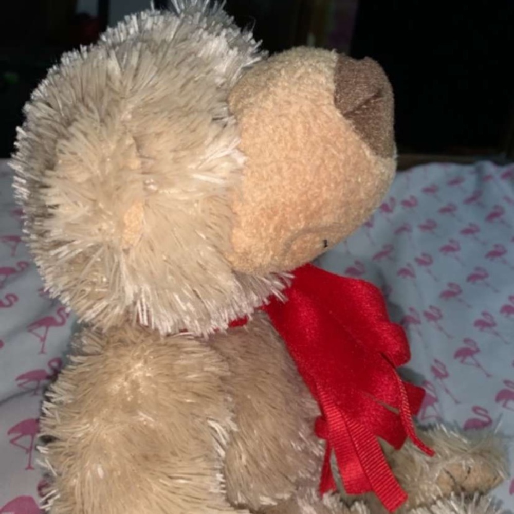 Brown Bear